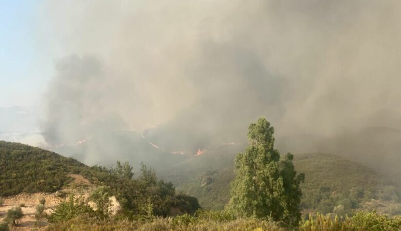 Μεγάλη φωτιά στην Σπάρτη: Δραματικές διαστάσεις παίρνει το ανεξέλεγκτο μέτωπο στο Πυργί