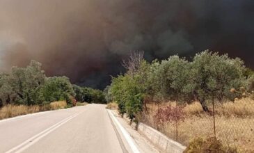 Μεγάλη φωτιά στη Ρόδο:  Ακυρώθηκε η εντολή εκκένωσης της κοινότητας Απόλλωνα