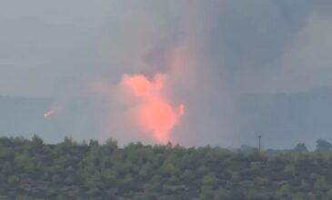 Τιτάνια μάχη των πυροσβεστικών δυνάμεων με τις φλόγες: Αναζωπυρώνονται οι φωτιές σε Λουτράκι και Ρόδο, ανησυχία για τη Μάνδρα
