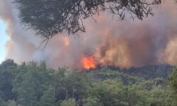 Για εμπρησμό κατηγορείται 70χρονος που συνελήφθη στην Κρήτη