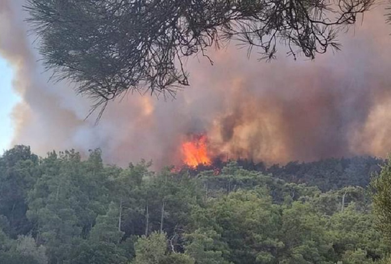 Για εμπρησμό κατηγορείται 70χρονος που συνελήφθη στην Κρήτη