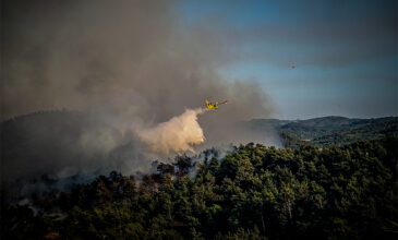 Συνεχίζεται η προσπάθεια κατάσβεσης της πυρκαγιάς στο όρος Πάικο στην Πέλλα