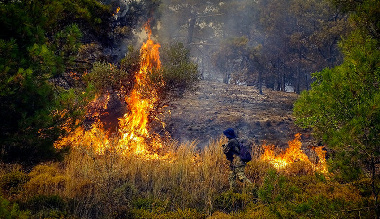Φωτιά στην Αμφίκλεια Φθιώτιδας – Εντολή εκκένωσης της Κάτω Τιθορέας