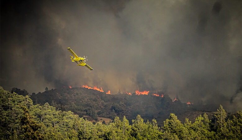 Φωτιά στη Ρόδο: «Έχουν καεί 30.000 στρέμματα παρθένου δάσους» – Δείτε εικόνες από την τεράστια οικολογική καταστροφή