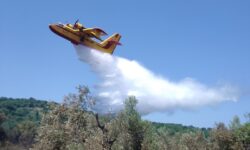 Φωτιά στις Σέρρες – Σηκώθηκαν αεροσκάφη και ελικόπτερο