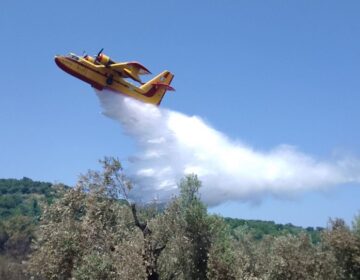 Φωτιά στις Σέρρες – Σηκώθηκαν αεροσκάφη και ελικόπτερο