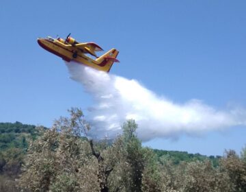 Φωτιά στην Αργολίδα