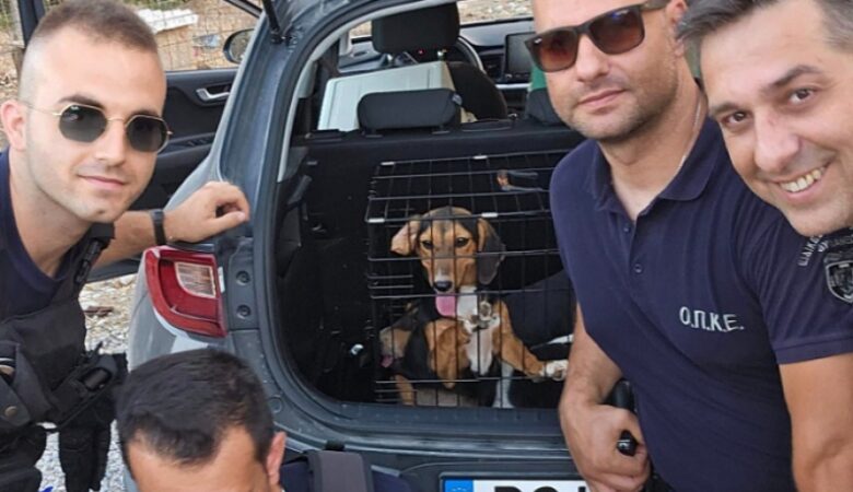 Μεγάλη φωτιά στη Ρόδο: Αστυνομικοί και εθελοντές έσωσαν σκυλιά που βρίσκονταν κλειδωμένα σε κλουβιά