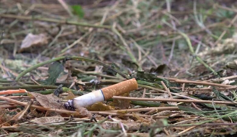 Θεσσαλονίκη: Πρόστιμο σε καπνιστή που πέταξε αναμμένο τσιγάρο στο δάσος του Σεϊχ-Σου