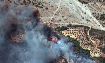 Πώς φαίνεται η μεγάλη φωτιά στη Ρόδο από δορυφόρο – Συγκλονίζουν οι εικόνες της καμμένης γης