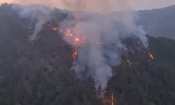 Κύπρος: Φωτιά στο κρατικό δάσος Πάφου – Απειλήθηκε ιστορικό μοναστήρι