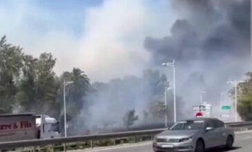 Γαλλία: Μεγάλη φωτιά σε αυτοκινητόδρομο κοντά στο αεροδρόμιο της Νίκαιας – Δείτε βίντεο
