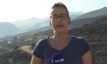 «Λύγισε» ρεπόρτερ της ΕΡΤ στον «αέρα» για τον τραγικό θάνατο των πιλότων