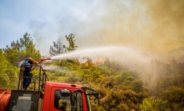 Φωτιά τώρα σε δασική έκταση στο Μαψό Κορινθίας – Σηκώθηκαν και εναέρια μέσα