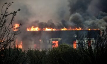 Φονική πυρκαγιά στη Μαγνησία: Πυροσβέστης μεταφέρθηκε με βαριά εγκαύματα στην Αθήνα – Τραυματίστηκαν άλλοι δύο