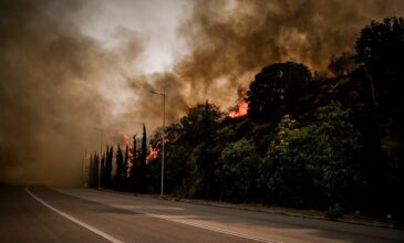 Μαίνονται οι φωτιές σε Μαγνησία και Λαμία – Συνεχείς αναζωπυρώσεις σε Ρόδο και Κέρκυρα