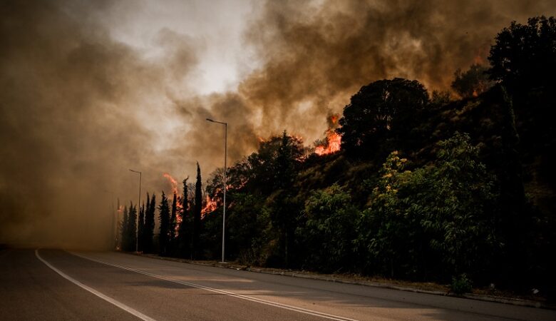 Μαίνονται οι φωτιές σε Μαγνησία και Λαμία – Συνεχείς αναζωπυρώσεις σε Ρόδο και Κέρκυρα