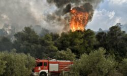 Φωτιά σε εξέλιξη σε δασική έκταση στην Χίο – Μήνυμα του 112 για απομάκρυνση των πολιτών από τις Καρυές