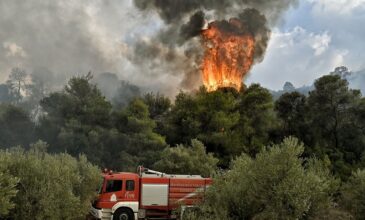Ακραίος κίνδυνος πυρκαγιάς προβλέπεται αύριο Πέμπτη για επτά περιφέρειες της χώρας