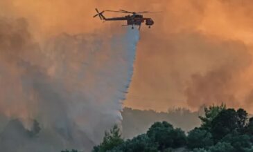 Μεγάλη φωτιά στη Μαγνησία: Το πύρινο μέτωπο απειλεί την ΒΙΠΕ – Καίγονται σπίτια στον Άγιο Γεώργιο Φερών – Εκκενώθηκε το Σέσκλο