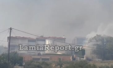 Μεγάλη φωτιά στη Λαμία: Καίγονται σπίτια στον οικισμό Αφανού – Εκκενώνεται το βόρειο τμήμα της πόλης