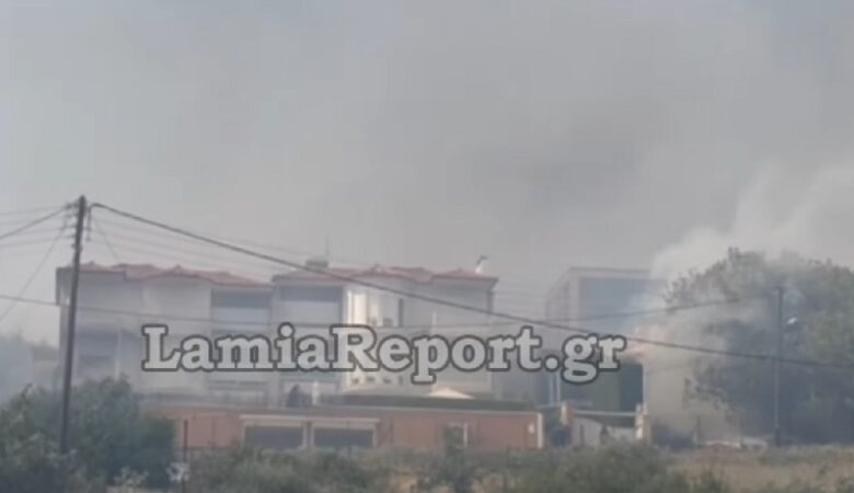 Μεγάλη φωτιά στη Λαμία: Καίγονται σπίτια στον οικισμό Αφανού – Εκκενώνεται το βόρειο τμήμα της πόλης