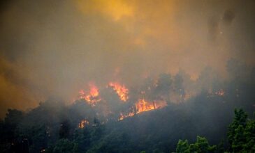 Μεγάλη φωτιά στη Ρόδο: Μάχη με τις αναζωπυρώσεις εξακολουθούν να δίνουν πυροσβέστες και εθελοντές