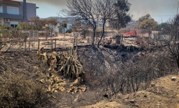 Μεγάλη φωτιά στη Ρόδο: Λήξη συναγερμού για δέκα χωριά – Μήνυμα τους κατοίκους να επιστρέψουν στα σπίτια τους