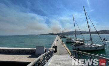 Μεγάλη φωτιά στη Μαγνησία: Αναστολή πληρωμών των κατοίκων προς τον δήμο Βόλου μέχρι τον Οκτώβριο