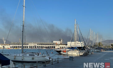 Φωτιά στη Μαγνησία: Μαύρισε ο ορίζοντας στο λιμάνι του Βόλου – Δείτε τις φωτογραφίες του News