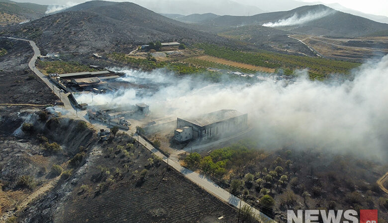 Αποκαρδιωτικές εικόνες καταστροφής στη Μαγνησία: Οι φλόγες έφτασαν 100 περίπου μέτρα από τα πρώτα σπίτια – Δείτε τις φωτογραφίες του News