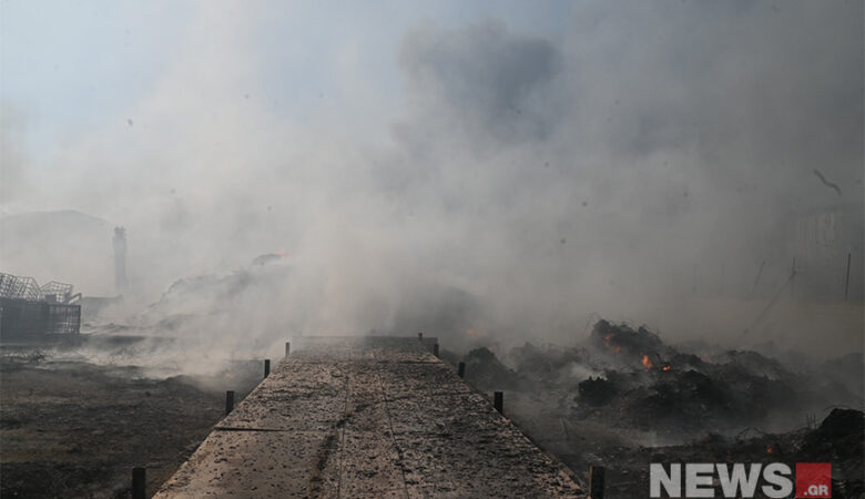 Δορυφόρος κατέγραψε τα καμένα από τη φωτιά στη Μαγνησία