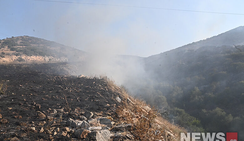 Μεγάλη φωτιά στη Μαγνησία: Αναζωπύρωση κοντά στο χωριό Σέσκλο – Τα γύρω χωριά και η ευρύτερη περιοχή πνίγονται από τους καπνούς