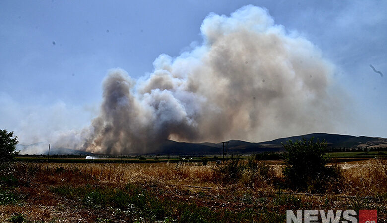 Φωτιά στη Μαγνησία: Δεν υπάρχουν ενεργά μέτωπα – Περισσότερα από 50.000 στρέμματα γης κάηκαν