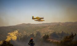Χίος: Πυρκαγιά σε δασική έκταση κοντά στην παραλία Βικίου