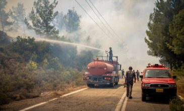 Μεσσηνία: Κεραυνός προκάλεσε φωτιά στο δάσος της Βασιλικής στον Ταΰγετο