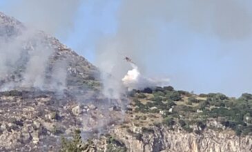 Φωτιά σε δασική έκταση στην Κεφαλλονιά