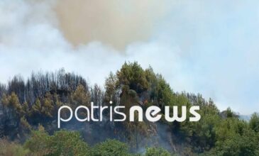 Μεγάλη φωτιά στην Ηλεία – Τρία τα πύρινα μέτωπα – Μήνυμα από το 112 για εκκένωση τεσσάρων οικισμών
