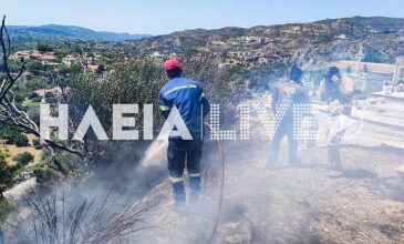 Υπό έλεγχο η φωτιά που εκδηλώθηκε στην Ηλεία – Στο σημείο εξακολουθούν να επιχειρούν για την πλήρη κατάσβεσή της ισχυρές πυροσβεστικές δυνάμεις