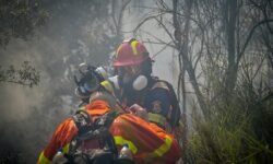 Πυροσβεστική: 34 φωτιές σε όλη τη χώρα το τελευταίο 24ωρο – Συνελήφθη μια γυναίκα για πυρκαγιά στη Φωκίδα