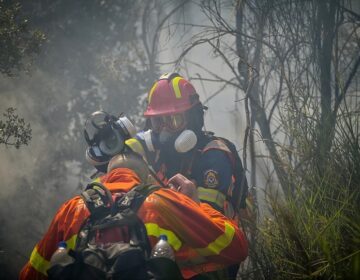 Πυροσβεστική: 34 φωτιές σε όλη τη χώρα το τελευταίο 24ωρο – Συνελήφθη μια γυναίκα για πυρκαγιά στη Φωκίδα