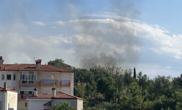 Φωτιά σε έκταση με ξερά χόρτα στις παρυφές της Κοζάνης