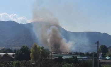 Νέες φωτιές σε Ασπρόπυργο και Βρανά Μαραθώνα