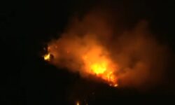 Φωτιά ξέσπασε το βράδυ της Παρασκευής σε δασική έκταση στο Παρανέστι Δράμας