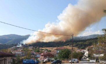 Μαίνεται η μεγάλη φωτιά σε δασική έκταση κοντά σε κατοικημένη περιοχή στην Δεσκάτη Γρεβενών