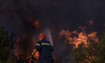Κατέληξε 67χρονος εγκαυματίας από την μεγάλη φωτιά στη Νέα Τιθορέα