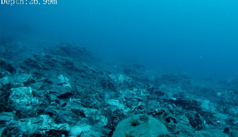 Πού βρίσκεται η υποβρύχια χωματερή 160 στρεμμάτων στην Ελλάδα που εξόργισε τον Λεονάρντο Ντι Κάπριο