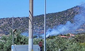 Φωτιά σε έκταση με χαμηλή βλάστηση στον Κουβαρά