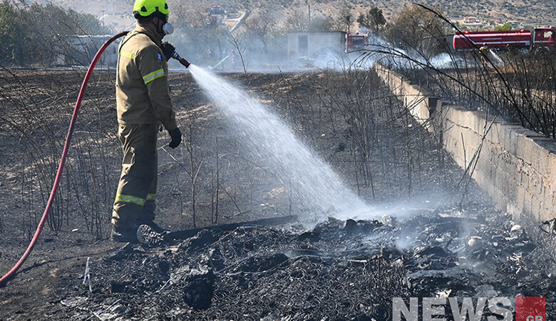Κατασβέσθηκε η φωτιά στον Μαραθώνα μετά την άμεση παρέμβαση της πυροσβεστικής – Δείτε εικόνες του News