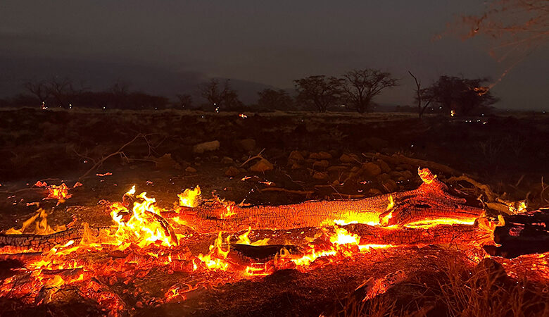 Χαβάη: Ολόκληρες γειτονιές κάηκαν στη Λαχέινα – Συνεχίζεται η απομάκρυνση των τουριστών από το Μάουι